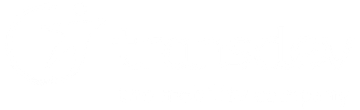 Transdev_logo_weiss_transparent (1)